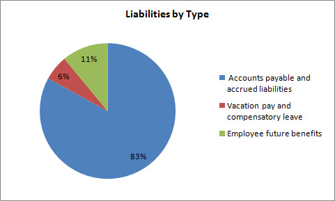 Net Liabilities