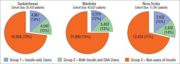 Figure 4.2 Cohort of diabetes patients*, by treatment group, by jurisdiction, 2008