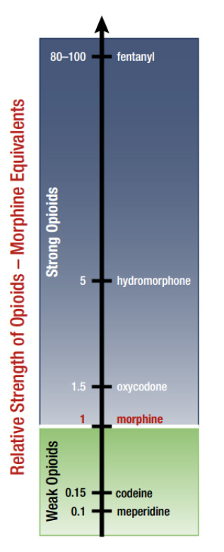 Relative Strength of Opioids - Morphine Equivalents