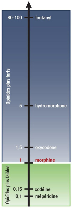 Concentration relative des opioïdes - Équivalentes morphine